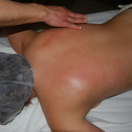 Promar Eco & Maceira