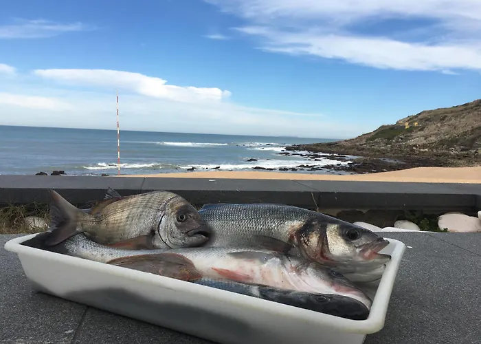 Szálloda Promar Eco & 3*