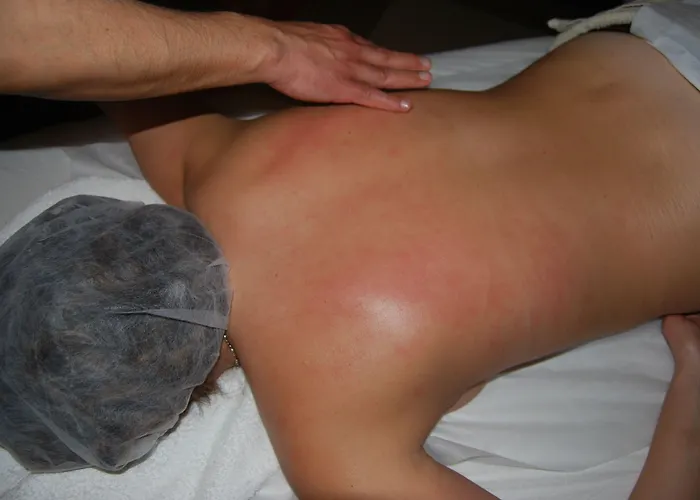 Promar Eco & Масейра