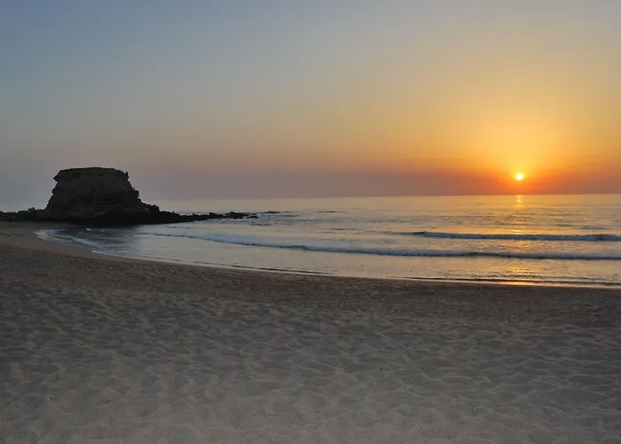 Promar Eco & Масейра